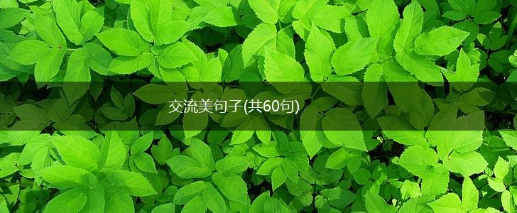 交流美句子(共60句),第1张