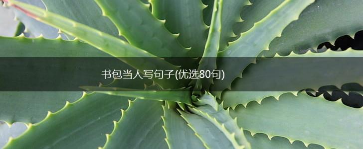 书包当人写句子(优选80句),第1张