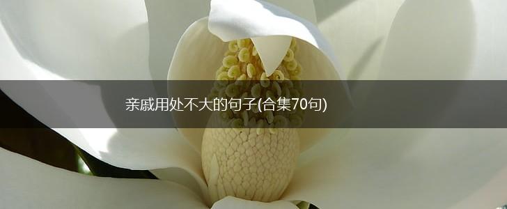 亲戚用处不大的句子(合集70句),第1张