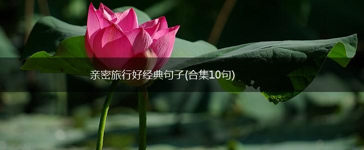 亲密旅行好经典句子(合集10句),第1张