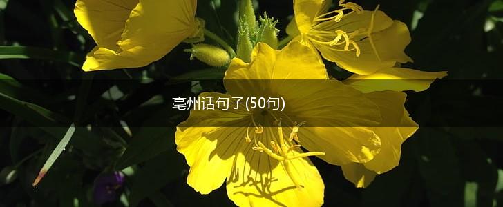 亳州话句子(50句),第1张