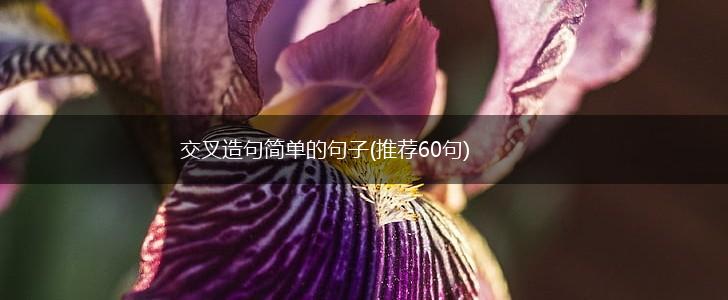 交叉造句简单的句子(推荐60句),第1张
