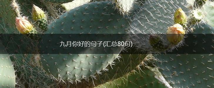 九月你好的句子(汇总80句),第1张