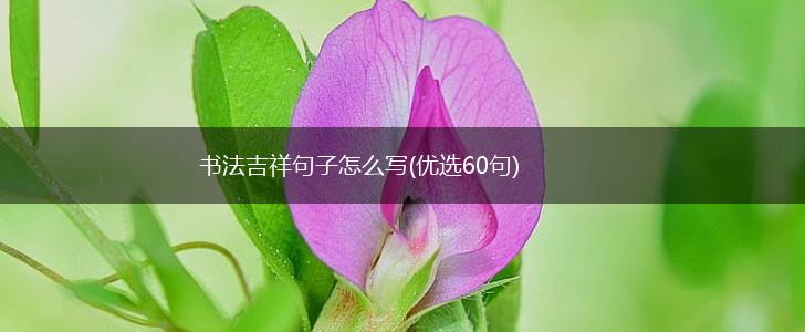 书法吉祥句子怎么写(优选60句),第1张