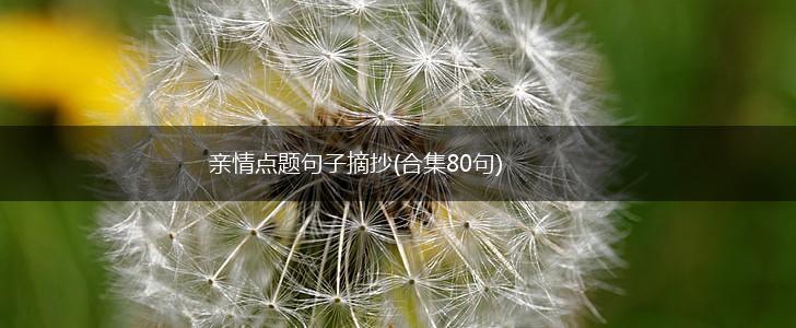 亲情点题句子摘抄(合集80句),第1张