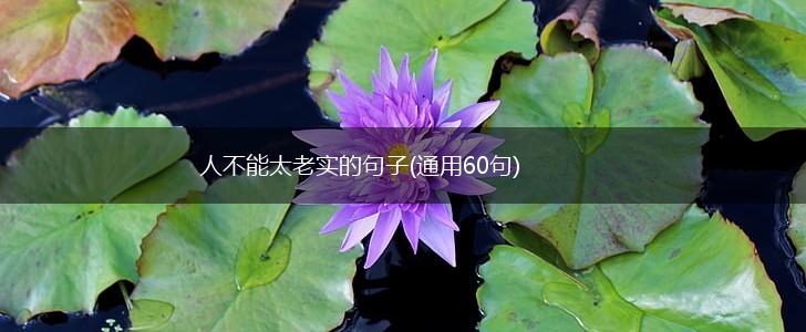人不能太老实的句子(通用60句),第1张