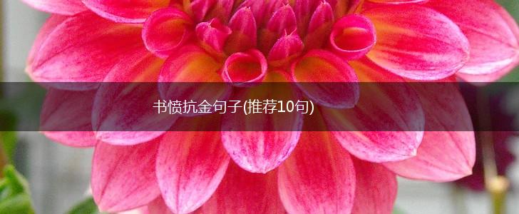 书愤抗金句子(推荐10句),第1张