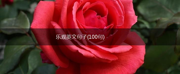 乐观英文句子(100句),第1张