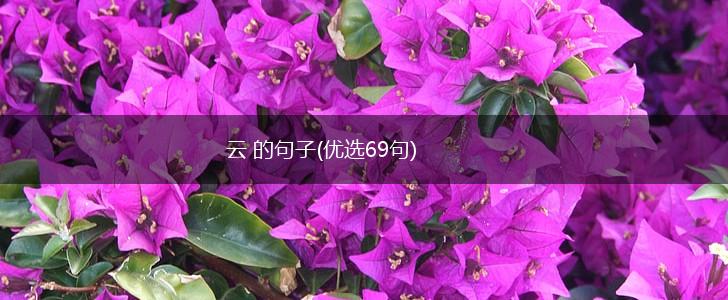 云 的句子(优选69句),第1张
