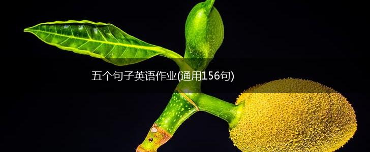 五个句子英语作业(通用156句),第1张