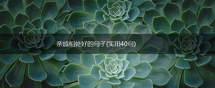 亲戚相处好的句子(实用40句),第1张