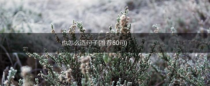 也怎么造句子(推荐60句),第1张
