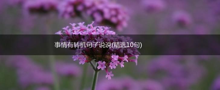 事情有转机句子说说(精选10句),第1张