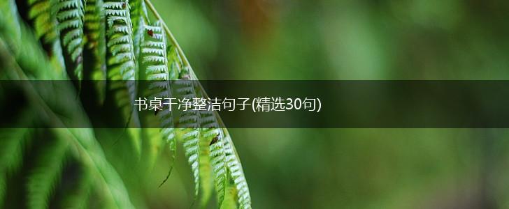 书桌干净整洁句子(精选30句),第1张