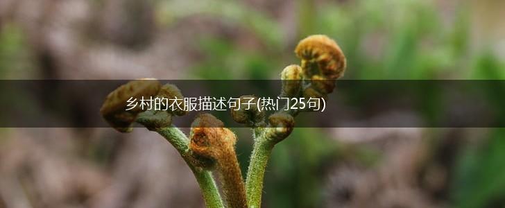乡村的衣服描述句子(热门25句),第1张