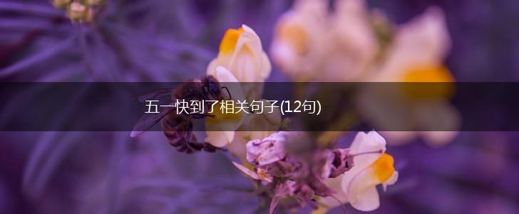五一快到了相关句子(12句),第1张