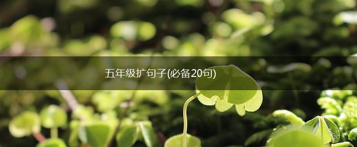 五年级扩句子(必备20句),第1张