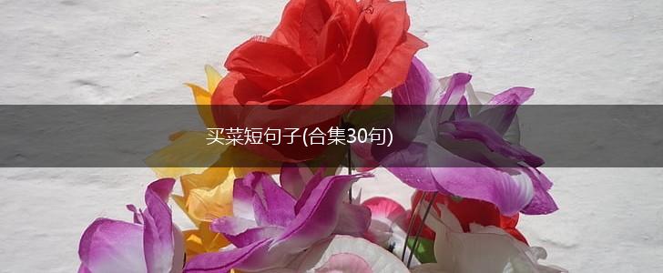 买菜短句子(合集30句),第1张