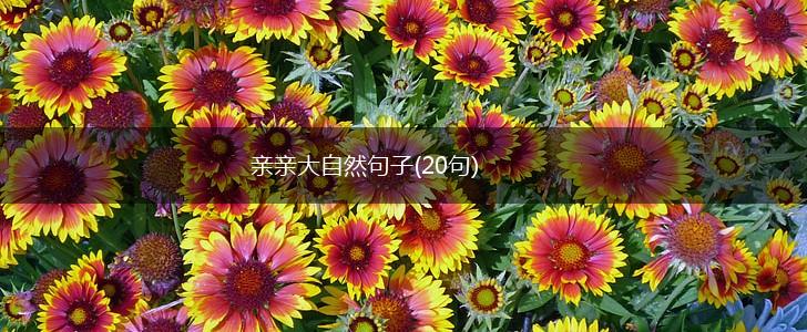 亲亲大自然句子(20句),第1张
