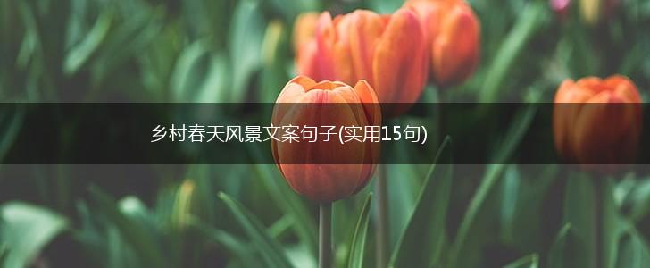 乡村春天风景文案句子(实用15句),第1张