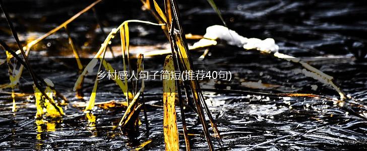 乡村感人句子简短(推荐40句),第1张