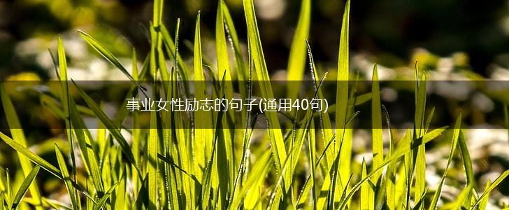 事业女性励志的句子(通用40句),第1张