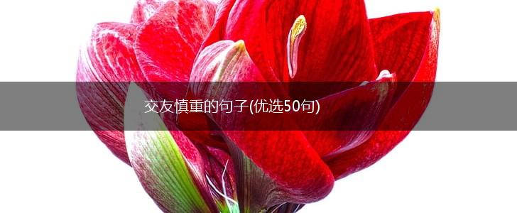 交友慎重的句子(优选50句),第1张