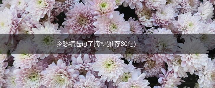 乡愁精选句子摘抄(推荐80句),第1张