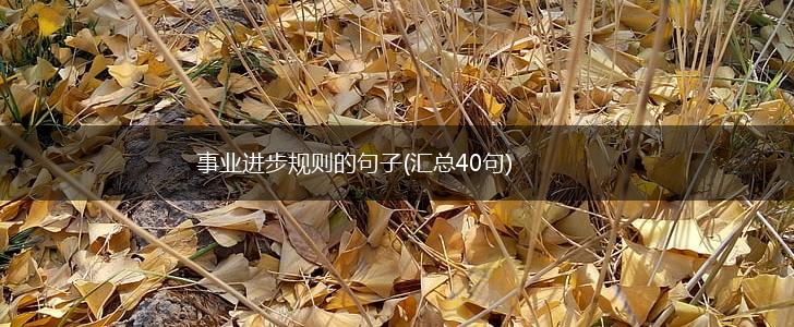 事业进步规则的句子(汇总40句),第1张