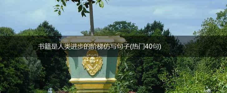 书籍是人类进步的阶梯仿写句子(热门40句),第1张
