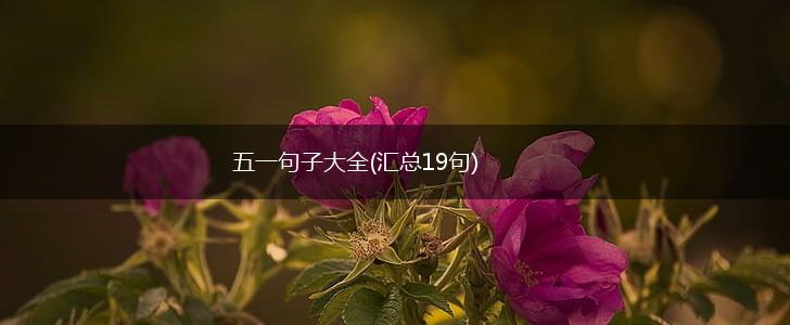 五一句子大全(汇总19句),第1张