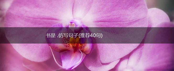 书是 .仿写句子(推荐40句),第1张