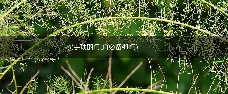 买手项的句子(必备41句),第1张