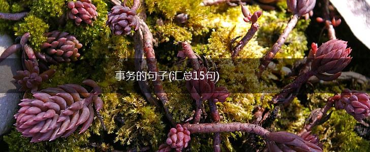 事务的句子(汇总15句),第1张