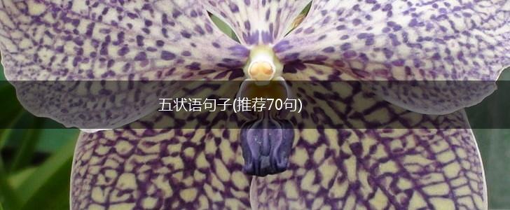 五状语句子(推荐70句),第1张