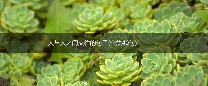 人与人之间交往的句子(合集40句),第1张
