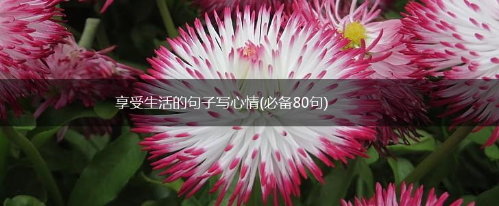 享受生活的句子写心情(必备80句),第1张