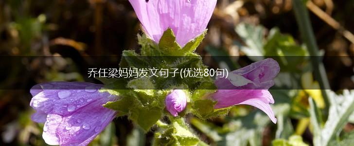 乔任梁妈妈发文句子(优选80句),第1张