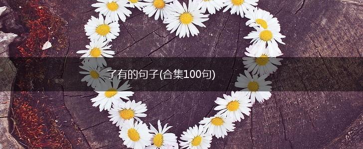 了有的句子(合集100句),第1张