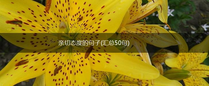 亲切态度的句子(汇总50句),第1张