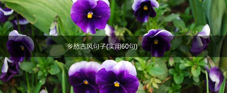 乡愁古风句子(实用60句),第1张