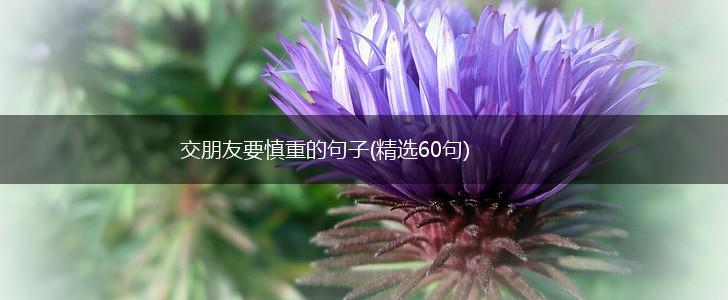 交朋友要慎重的句子(精选60句),第1张