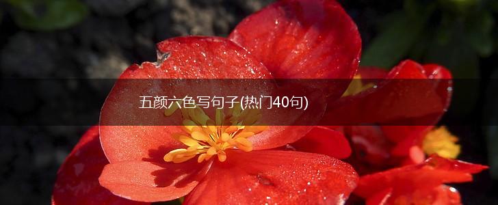 五颜六色写句子(热门40句),第1张