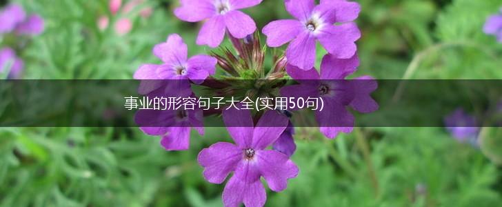 事业的形容句子大全(实用50句),第1张