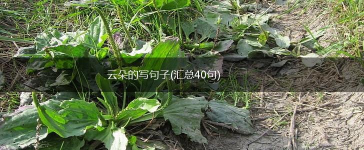 云朵的写句子(汇总40句),第1张