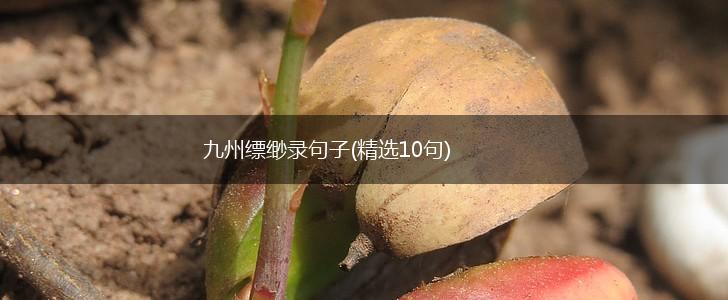 九州缥缈录句子(精选10句),第1张