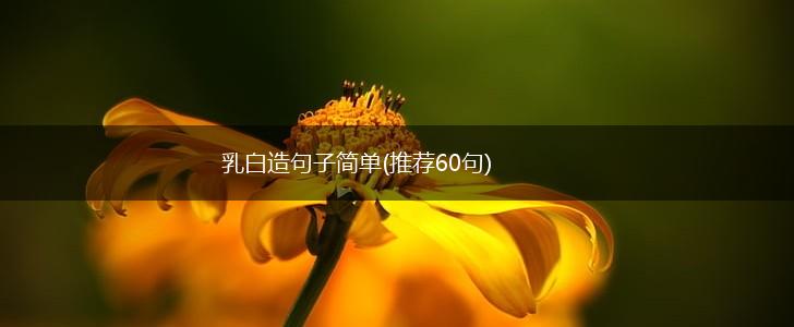 乳白造句子简单(推荐60句),第1张