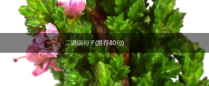 二道锅句子(推荐80句),第1张