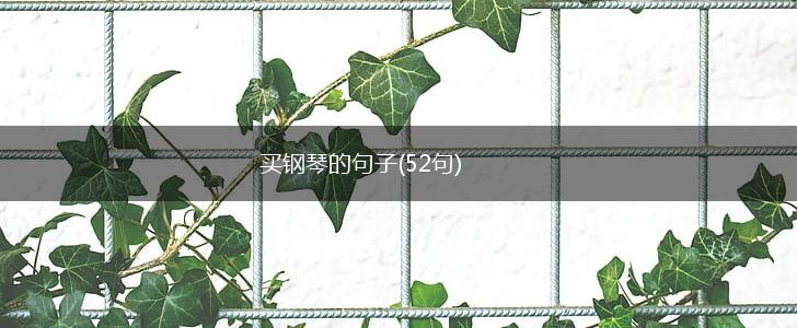 买钢琴的句子(52句),第1张