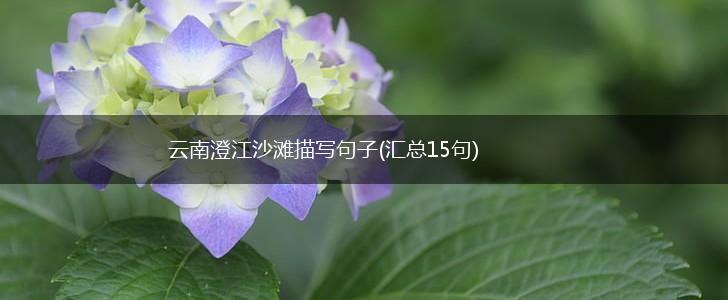 云南澄江沙滩描写句子(汇总15句),第1张